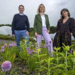 Largest ever climate-positive living artwork blooming for first time at Eden